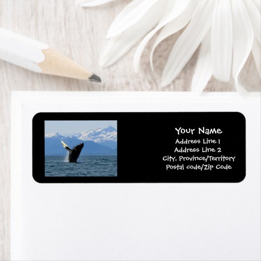 Humpback Whale Breaching (Insitu)