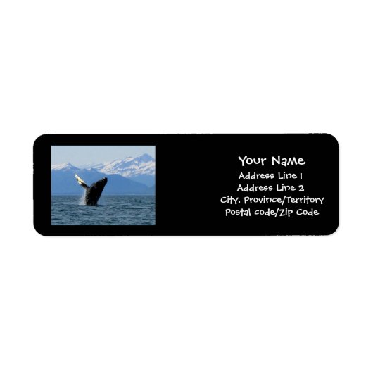Humpback Whale Breaching (Vorne)
