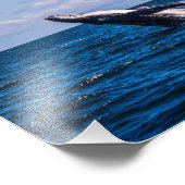 Humpback Whale Breaching Foto Print (Ecke)