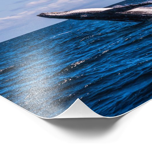 Humpback Whale Breaching Foto Print (Ecke)