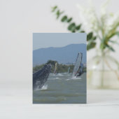 Humpback Whale Brechen durch Windsurfer Postkarte (Stehend Vorderseite)