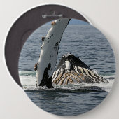 Humpback Whale Button (Vorne & Hinten)