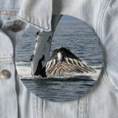 Humpback Whale Button (Beispiel)