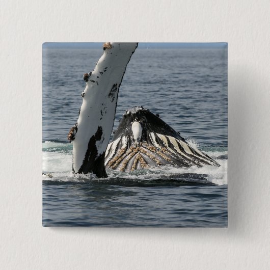 Humpback Whale Button (Vorderseite)