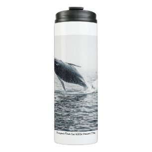 Humpback Whale Calf Thermosbecher