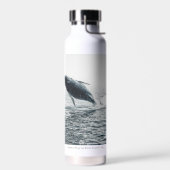 Humpback Whale Calf Trinkflasche (Links)