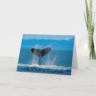 Humpback Whale, Das Leben ist voller Überraschunge Karte
