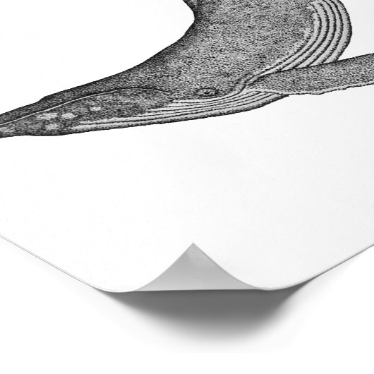 Humpback Whale Dotwork Poster (Ecke)