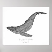 Humpback Whale Dotwork Poster (Vorne)