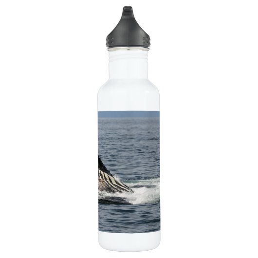Humpback Whale Edelstahlflasche (Rechts)