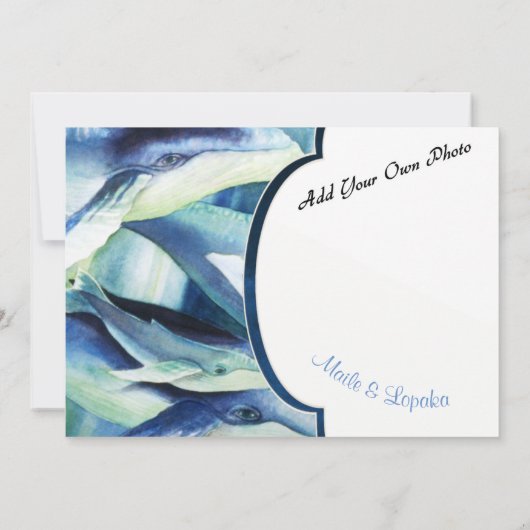 Humpback Whale Einladung (Rückseite)