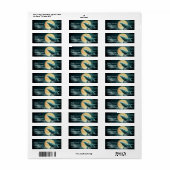 Humpback Whale fliegt auf die Moon-Adressenmarken (Vorne)