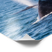 Humpback Whale Foto Print (Ecke)