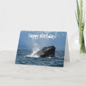 Humpback Whale Fütternd Karte (Vorderseite)