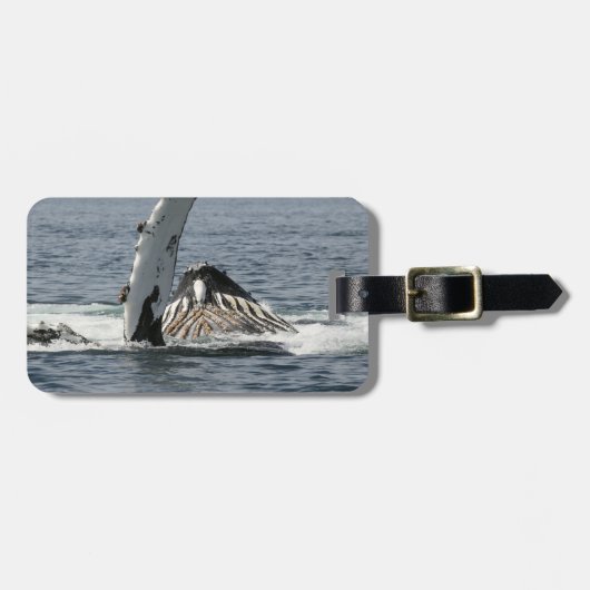 Humpback Whale Gepäckanhänger (Vorderseite horizontal)