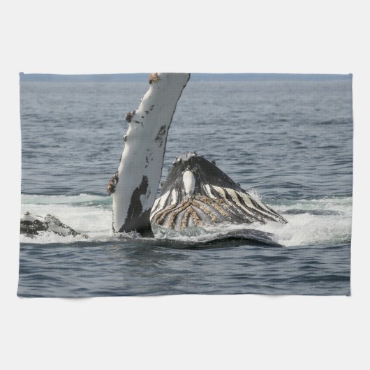 Humpback Whale Geschirrtuch (Horizontal)