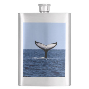 Humpback Whale im Ozean Flachmann