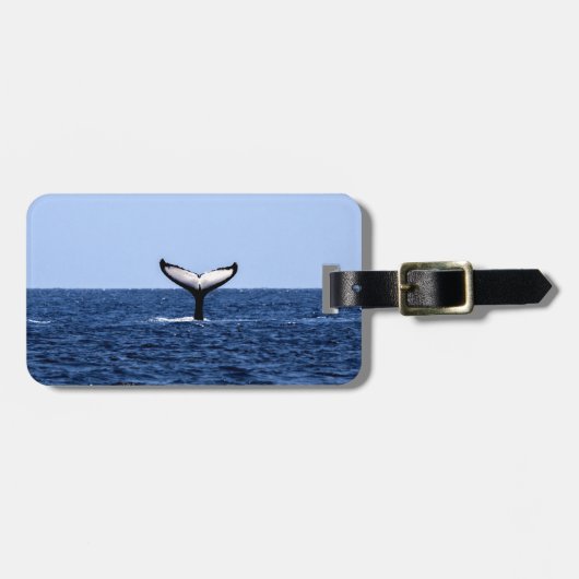 Humpback Whale im Ozean Gepäckanhänger (Vorderseite horizontal)