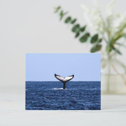 Humpback Whale im Ozean Postkarte (Stehend Vorderseite)