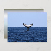 Humpback Whale im Ozean Postkarte (Vorne/Hinten)