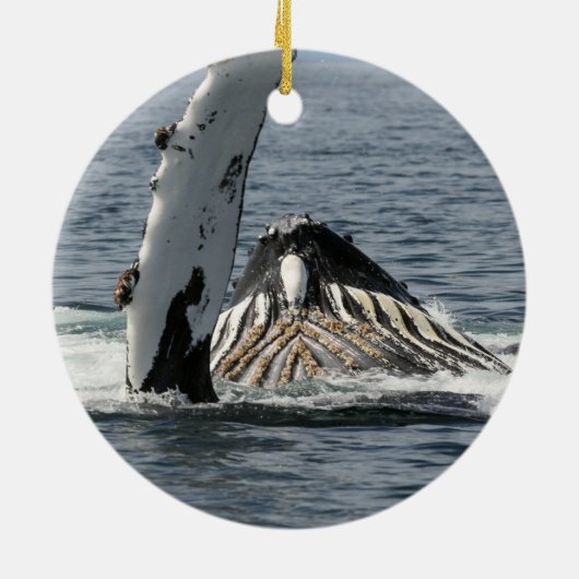 Humpback Whale Keramik Ornament (Hinten)