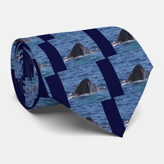 Humpback Whale Krawatte (Gerollt)