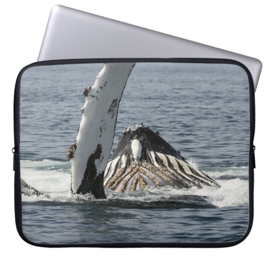 Humpback Whale Laptopschutzhülle (Vorderseite)