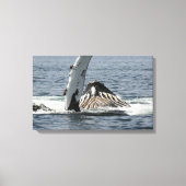 Humpback Whale Leinwanddruck (Vorderseite)