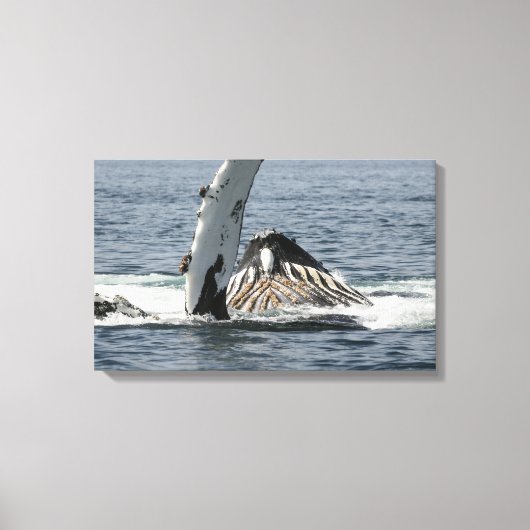 Humpback Whale Leinwanddruck (Vorderseite)