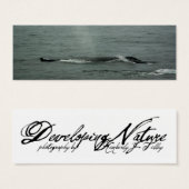 Humpback Whale Lesezeichen (Vorne & Hinten)