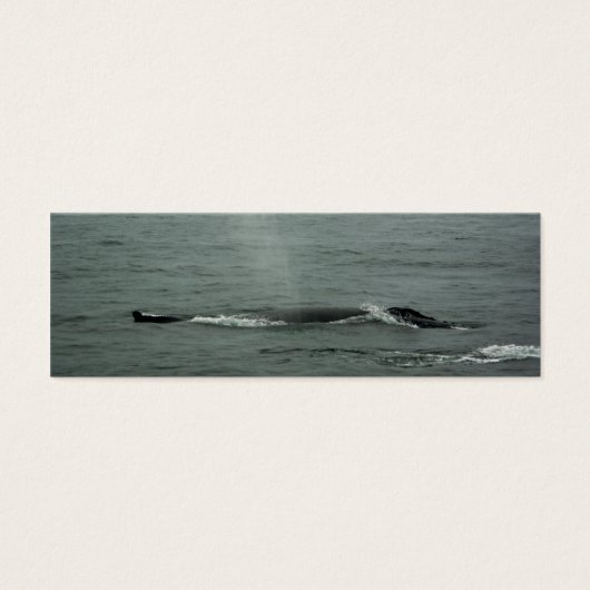 Humpback Whale Lesezeichen (Vorderseite)
