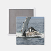 Humpback Whale Magnet (Vorderseite/Rückseite)