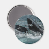 Humpback Whale Magnet (Vorderseite/Rückseite)