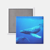 Humpback Whale Magnet (Vorderseite/Rückseite)