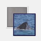 Humpback Whale Magnet (Vorderseite/Rückseite)