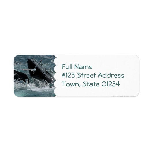 Humpback Whale Mailing Label (Vorne)