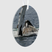 Humpback Whale Ornament (Vorderseite)