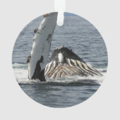 Humpback Whale Ornament (Rückseite)