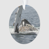 Humpback Whale Ornament (Vorderseite)