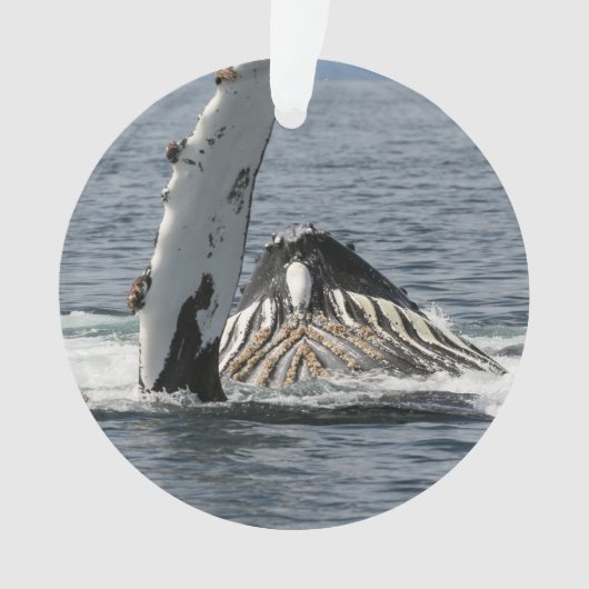 Humpback Whale Ornament (Vorderseite)