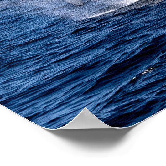 Humpback Whale Poster (Ecke)