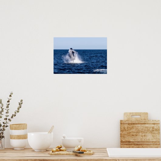 Humpback Whale Poster (Küche)