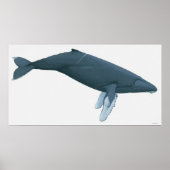 Humpback Whale Poster (Vorne)