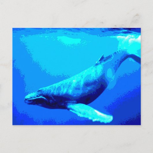 Humpback Whale Postkarte (Vorderseite)