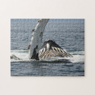 Humpback Whale Puzzle