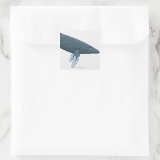 Humpback Whale Quadratischer Aufkleber (Tasche)