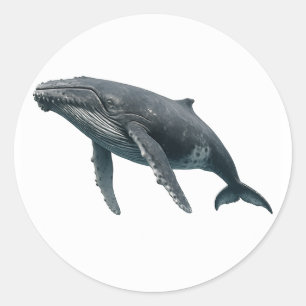 Humpback Whale Runder Aufkleber