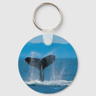 Humpback Whale Schlüsselanhänger