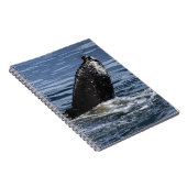 Humpback Whale Schwanz Nah Up - Wildlife Fotograf Notizblock (Rechte Seite)