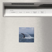 Humpback Whale Schwanz Splash Magnet (In Situ (Geschirrspüler))